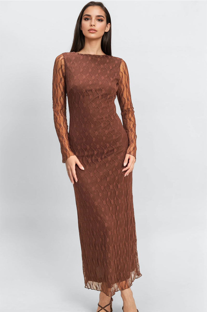 Semi-Sheer Lace Bodycon Maxi Dress - Image 5