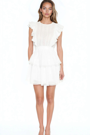 Clip Dot Lace Ruffled Mini Dress