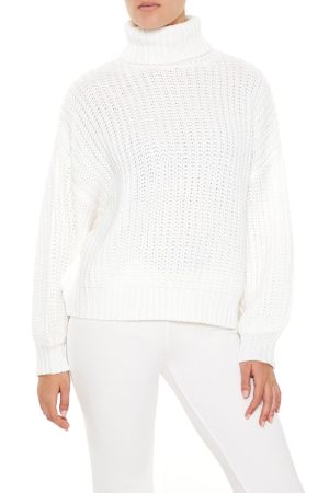 Turtleneck Knit Sweater
